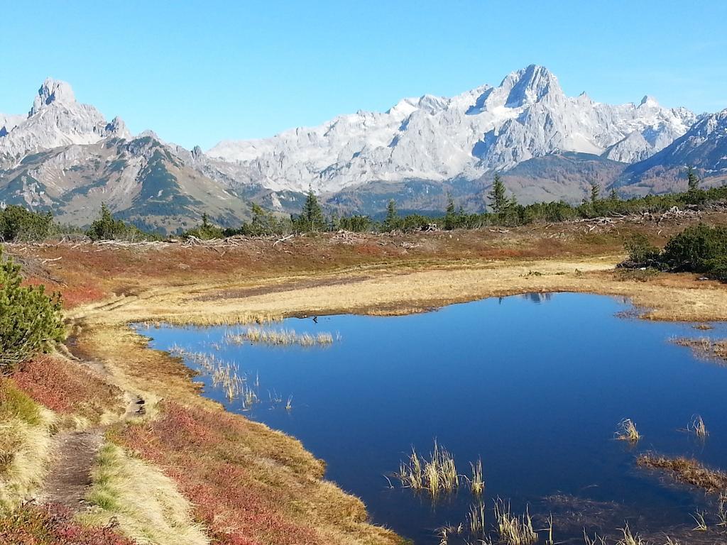 Ferienwohnung Bergblick Filzmoos Kamer foto