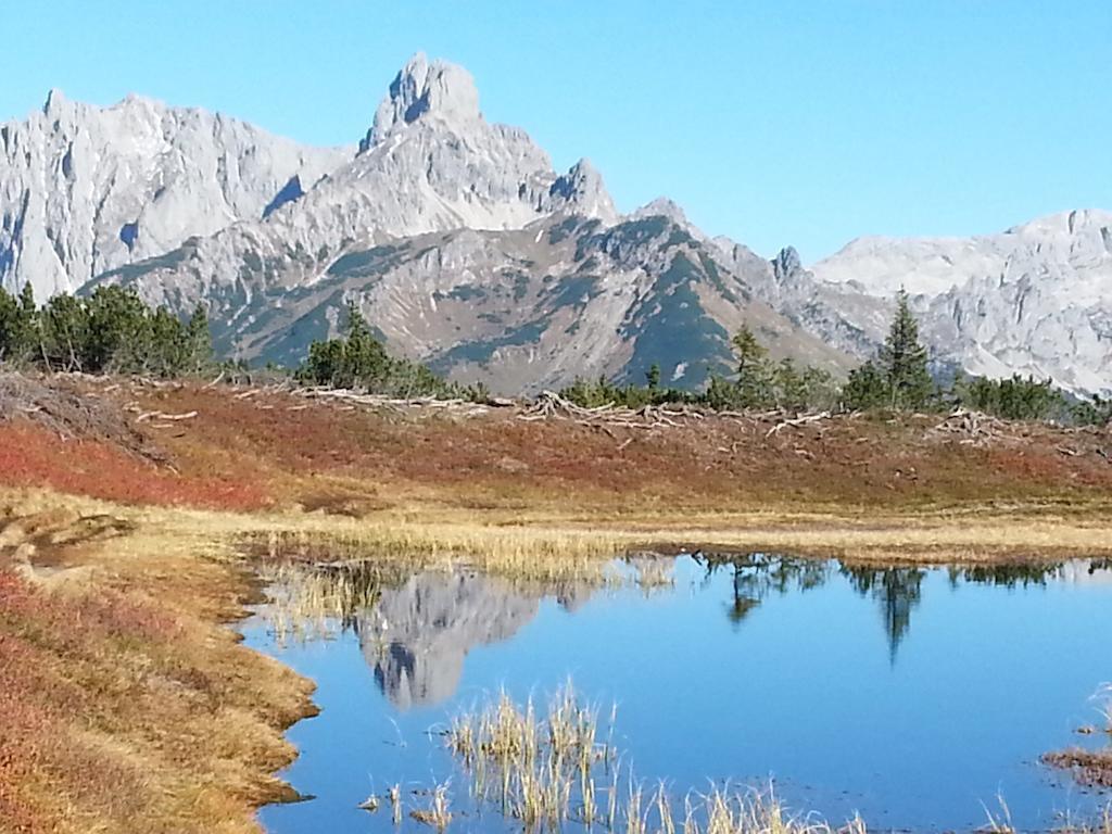 Ferienwohnung Bergblick Filzmoos Kamer foto