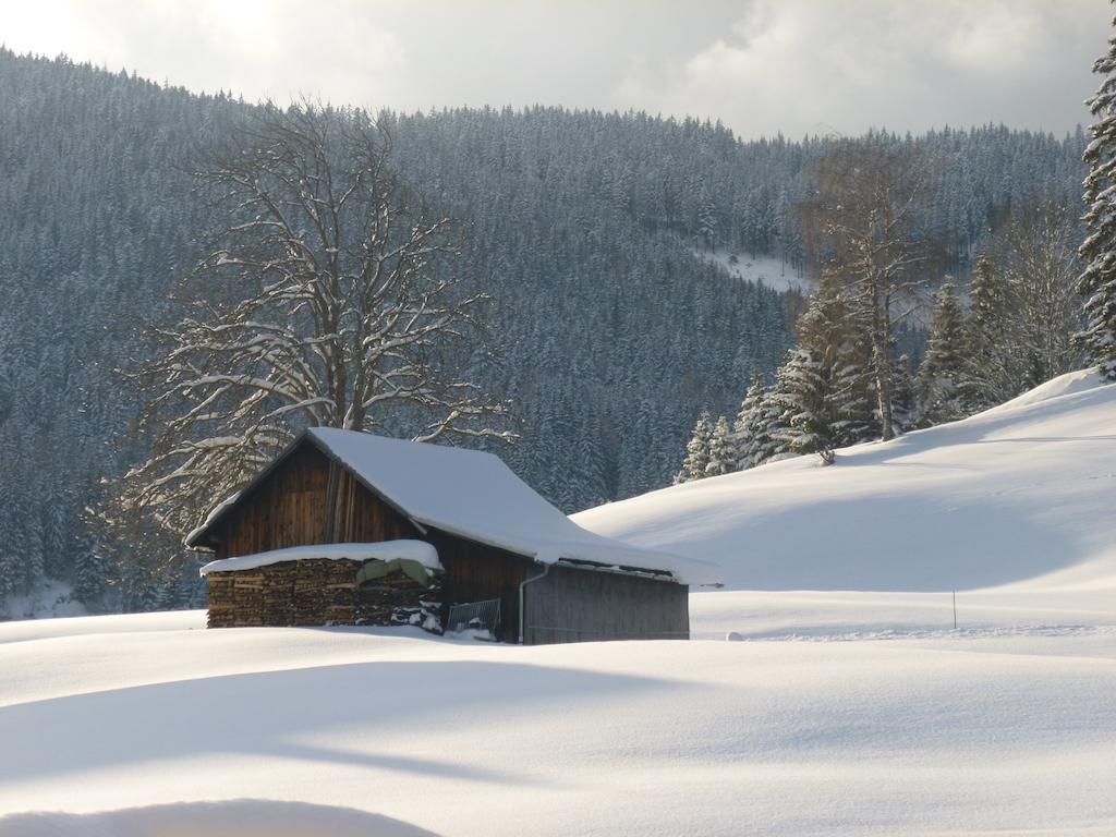 Ferienwohnung Bergblick Filzmoos Kamer foto