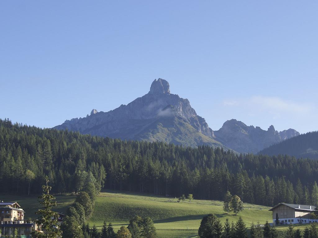 Ferienwohnung Bergblick Filzmoos Kamer foto